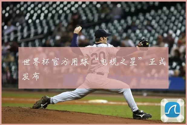 世界杯官方用球“电视之星”正式发布