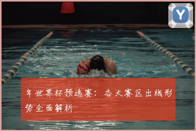 年世界杯预选赛：各大赛区出线形势全面解析