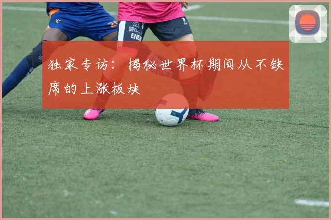 独家专访：揭秘世界杯期间从不缺席的上涨板块
