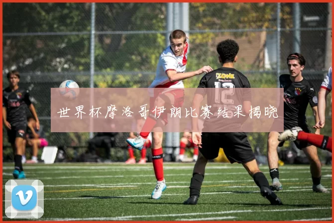 世界杯摩洛哥伊朗比赛结果揭晓