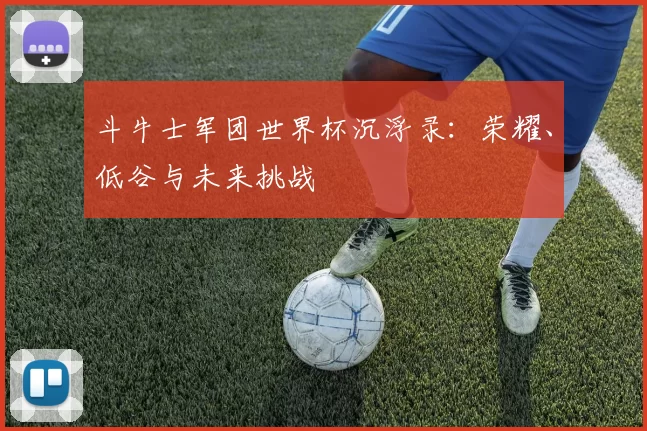 斗牛士军团世界杯沉浮录：荣耀、低谷与未来挑战