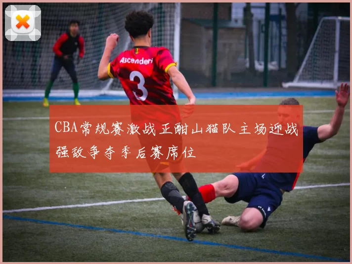 CBA常规赛激战正酣山猫队主场迎战强敌争夺季后赛席位
