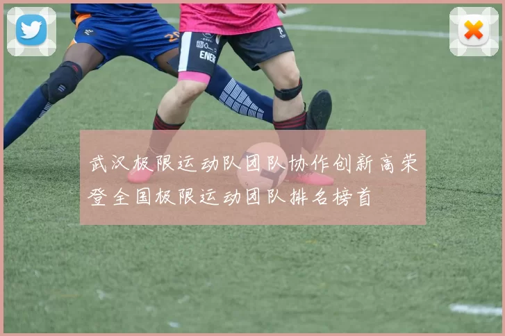 武汉极限运动队团队协作创新高荣登全国极限运动团队排名榜首